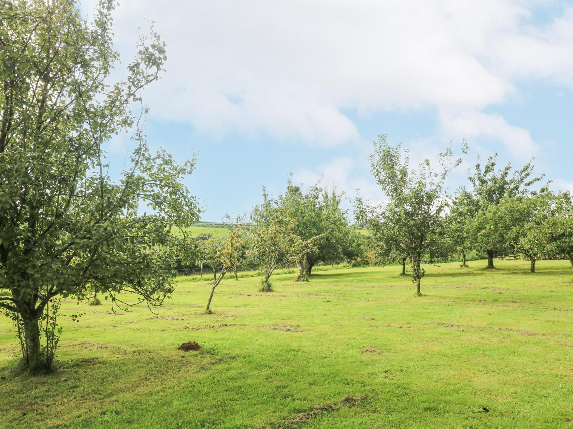 South Boduel Farmhouse Liskeard Εξωτερικό φωτογραφία